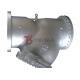 Ansi Class 150 LB Cast Carbon Steel WCB Flanged Y Pattern Strainer Large Size to 28inch Dn700