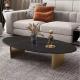 Modern Marble Coffee Tea Table No Drawers Smooth Finish