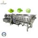 Restaurant Fresh Cut Salad Lettuce Vegetable Washing Machine with 4.26 kw Efficiency