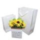 4C Printing Luxury Shopping Paper Bag , White Gift Bags With Ribbon Handles