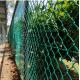 Green Galvanized Plastic Coated 6 Gauge Chain Link Fence 10 Foot