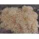 300-500MM Excelsior Length Wood Wool Shredding Machine / Wood Wool Making Machine