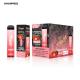 5000 Hits 100mm Disposable Electronic Cigars Puff Bar Strawberry Watermelon