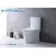 White Ceramic Wc Single Piece Toilet 655*395*770 mm Size Nano glazing OEM