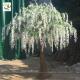 UVG walk way decoration 10ft white wisteria blossom fake trees for wedding WIS014