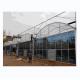Hot Dip Galvanized Steel Tube Frame Multi Span Agricultural Greenhouse