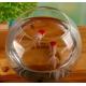 hand blow glass terrarium  fish tank decoration glass container  10cm diameter and other size