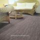 Multi level loop Nylon striped office carpet tile, nylon carpet tiles