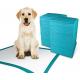 Extra Large Dog Apartment Pee Pad Puppy Toilet Training Mat L 60x60cm