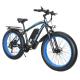 21speed Fat Tyre Cycle Electric , OEM Brushless Geared Electric Bicycle 26 Inch