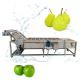 SUS304 Fruit And Vegetable Processing Line , Vegetable Washing And Drying Machine