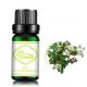 MSDS Tea Tree 100% Pure Plant Essential Oil For Aroma Diffuser