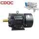 Temperature Resistant Variable Speed AC Motor For Washing Industry Motor