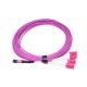 Female Multi Mode MPO MTP Cable Polarity B OM4 MTP Cable With Magenta
