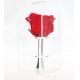 Wedding / Party Decoration Preserved Rose Flower With Long Stem