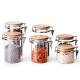 Stainless Steel Buckle Glass Storage Containers High Borosilicate Glass