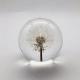 Home Decoration Dandelion Paper Weight , Acrylic Flower Resin Paperweight