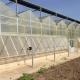Commercial Polycarbonate Greenhouse for Versatile Vegetable Fruit and Flower Cultivation