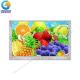 5.0 Inch Transmissive LCD Display 800X480 Resolution 24 Bit RGB TN LCD Display