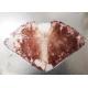 Bqf Squid Dried Fish Big Size Chinese Ocean Vessels 20 Kg Net Weight