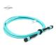 Jacket Material Patch Cord Cable With MPO Connector For Telecommunication Networks