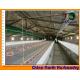 Breeder Cage System of Poultry Cages - Poultry Farm