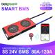 Deligreen Smart Bms Lifepo4 Battery 8S 24v 80-120A With UART BT 485 CAN Function For RV Outdoor Storage