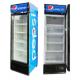 R134A Upright Display Freezer , 300L Vertical Refrigerator Display
