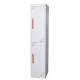 Vertical Steel Wardrobe Lockers 2 Door For Office / School / Hotel / Hospital