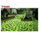 Custom Fruit And Vegetable Processing Line Pear Fruit Juice Processing Machines 220/380V