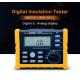 2500V Digital Insulation Resistance Tester Auto Power Off Auto Calculate PI And DAR