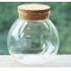 Transparent Clear Glass Jar
