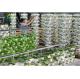 Food Grade 3.0-5.0mm Thick PVC NFT Hydroponic Gutter For Strawberries