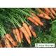 Multipurpose Orange Carrot Contain Hypoglycemic Substances Easy Store