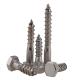 DIN571 Galvanized Stainless Steel SS304 SS316 Hex Head Wood Screw Lag Bolt