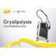 Multi Functional Cryolipolysis Slimming Machine With Two Treatment Head