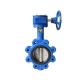 10 Inch Lug DI Butterfly Valve PN10 / PN16 For Water Treatment Plant