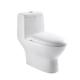 1 Piece Dual Flush Toilet Elongated Bowl 0.8/1.2 GPF Soft Closed Seat