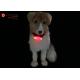 Weather Resistant Nylon LED Flashing Dog Night Light Attacher Pet Protect Collars