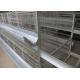 Commercial H Type Layer Chicken Cage Save Energy Consumption Low Pollution
