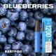 Blueberry Ice Oil Visible Disposable Vape 400mah 1200 Puffs Rechargeable