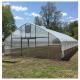 Shading Rate 20%-90% Plastic Sheeting Greenhouse For Strawberries