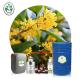 CAS 8006-78-8 Aromatherapy Essential Oils Laurel Leaf Essential Oil