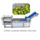 Air Brush Cleansing Citrus Processing Line ,  Anti Abrasion Sullage Removal Potato Processing Line