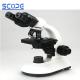 Medical Student Binocular Microscope / Trinocular Biological Microscope