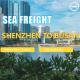 International Sea Freight from Shenzhen to Busan South Korea