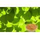 USP40 Ginkgo Leaf Extract , Ginkgo Biloba Powder For Food Supplement