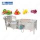 Automatic Apple Air Bubble Washer Lettuce Fruit Cleaning Machine Vegetable Washing Machine