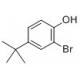 2-Bromo-4-tert-butylphenol [2198-66-5]