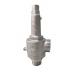 DN25 Spring Direct Acting Full Open Cryogenic Safety Valve